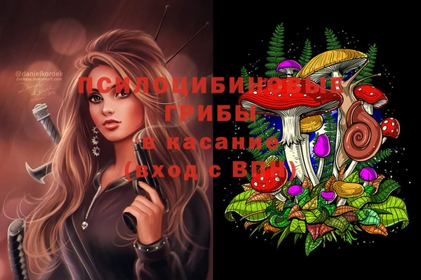 мескалин Алексин