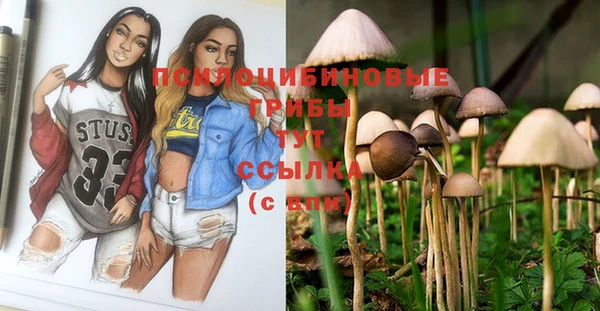 твердый Алзамай