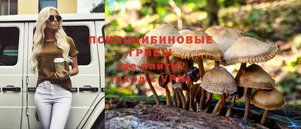 твердый Алзамай
