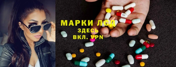 твердый Алзамай