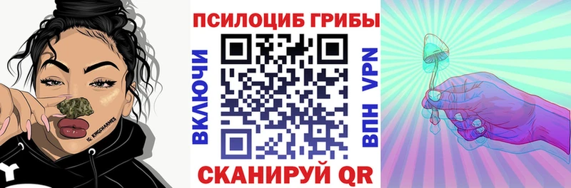 Псилоцибиновые грибы Magic Shrooms  сколько стоит  Грязовец 
