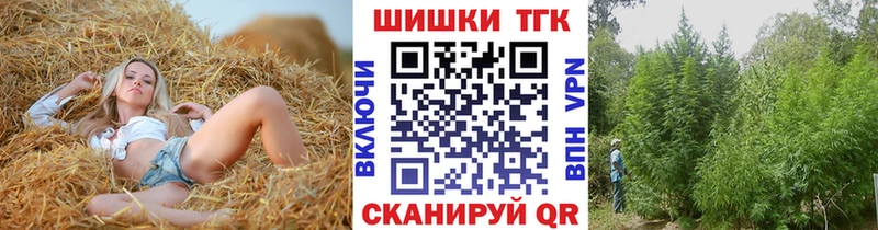Шишки марихуана индика  купить   Грязовец 